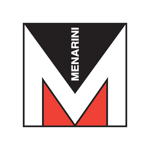 portfolio item image