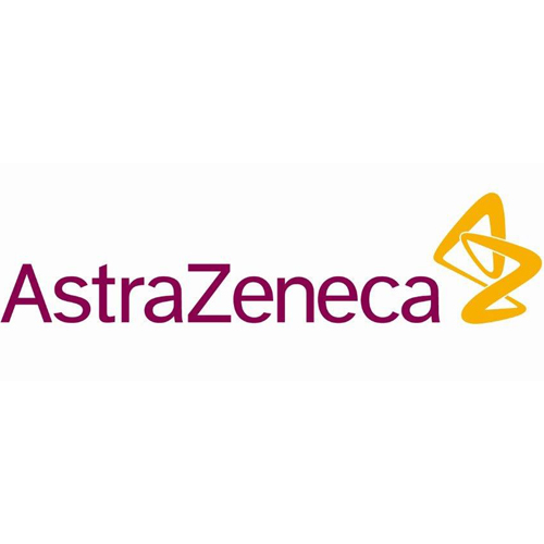 portfolio item image