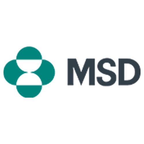 portfolio item image